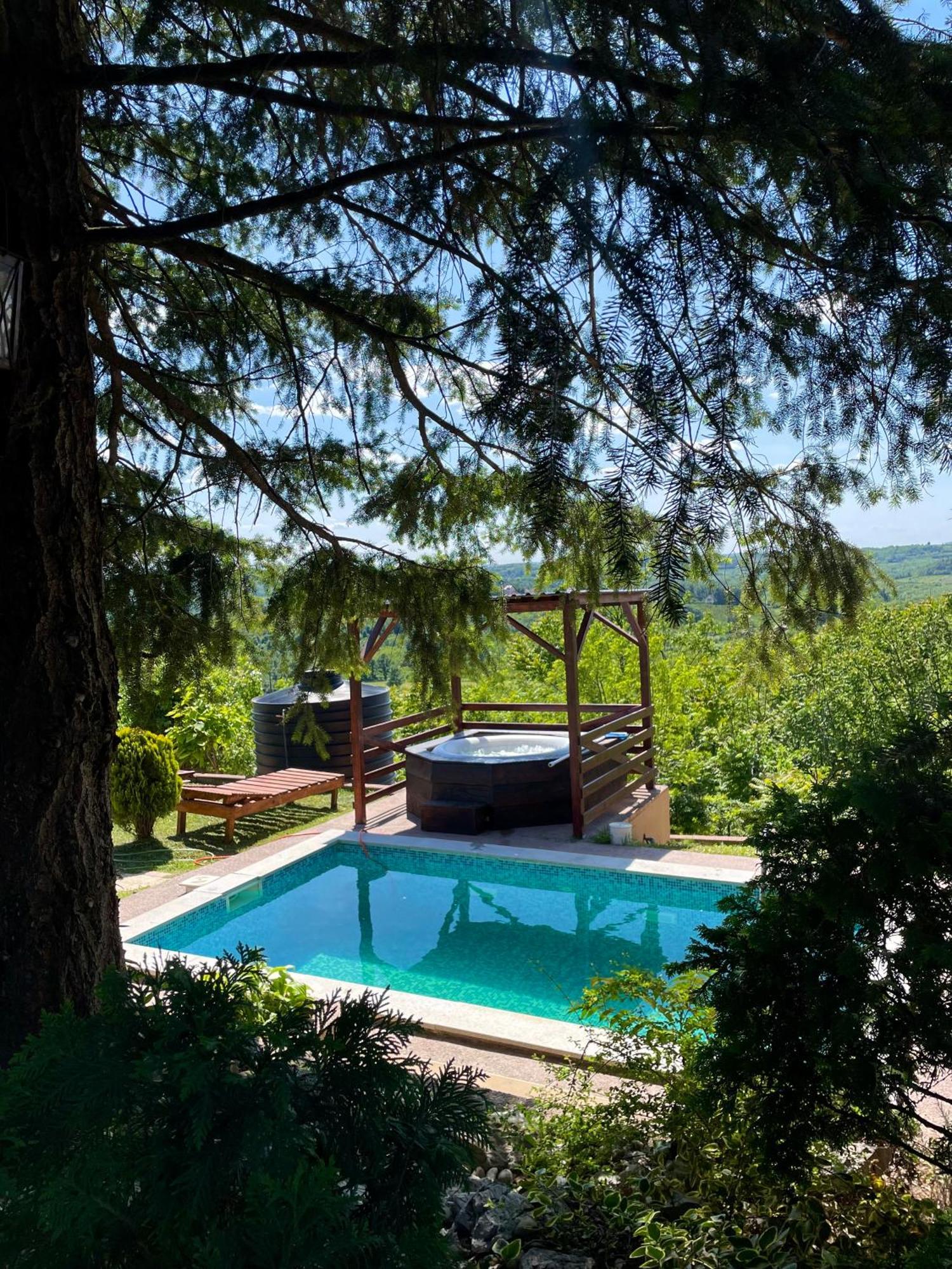 Kuca Na Dan Sa Bazenom Hedonist Place Zaklopaca  Exterior foto